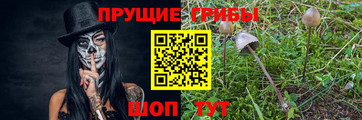 Галлюциногенные грибы Magic Shrooms  Вход с VPN  Карталы 